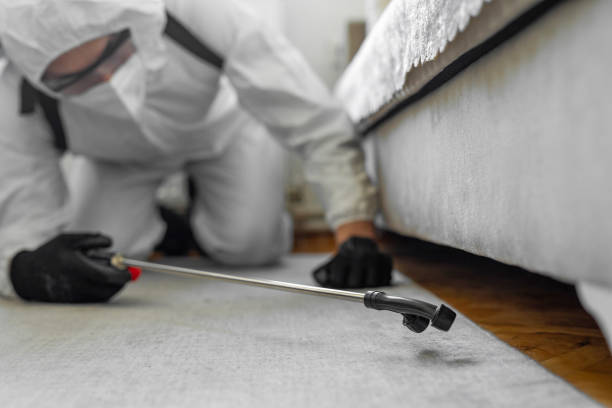 Professional Termite Control technician working in Iola, KS