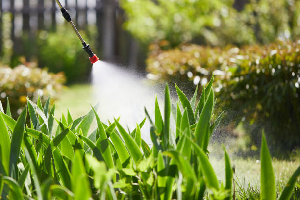 24/7 Emergency Termite Control experts in Iola, KS