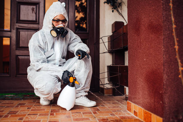 Reliable Termite Control contractor in Iola, KS by Nex Pest Control