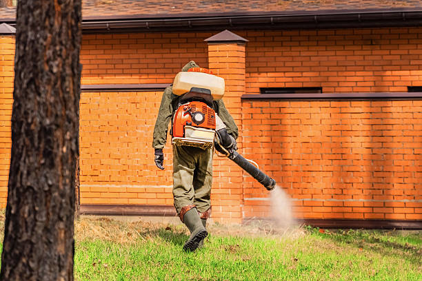 Top rated local Termite Control specialists in Iola, KS